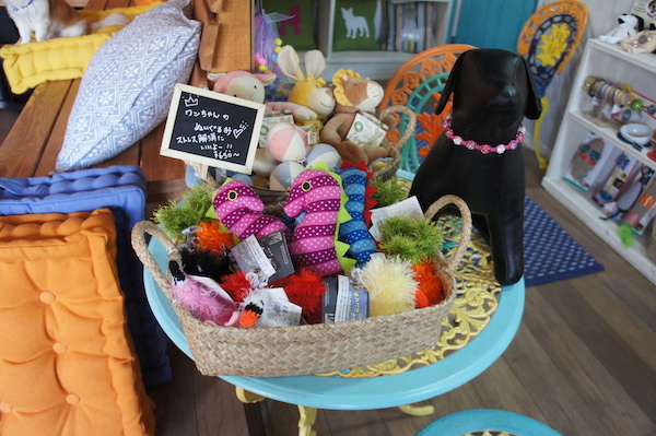 森泉プロデュース ペットサロン併設のカフェが千駄ヶ谷にオープン Wwdjapan Com