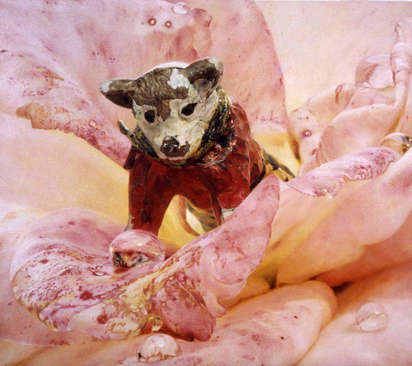 井上長三郎 井上長三郎 ドンキホーテ？