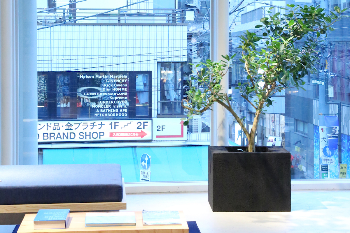 アディダス オリジナルス の原宿旗艦店がリニューアルオープン 生きた苔やアスファルト製の椅子を設置 Wwdjapan