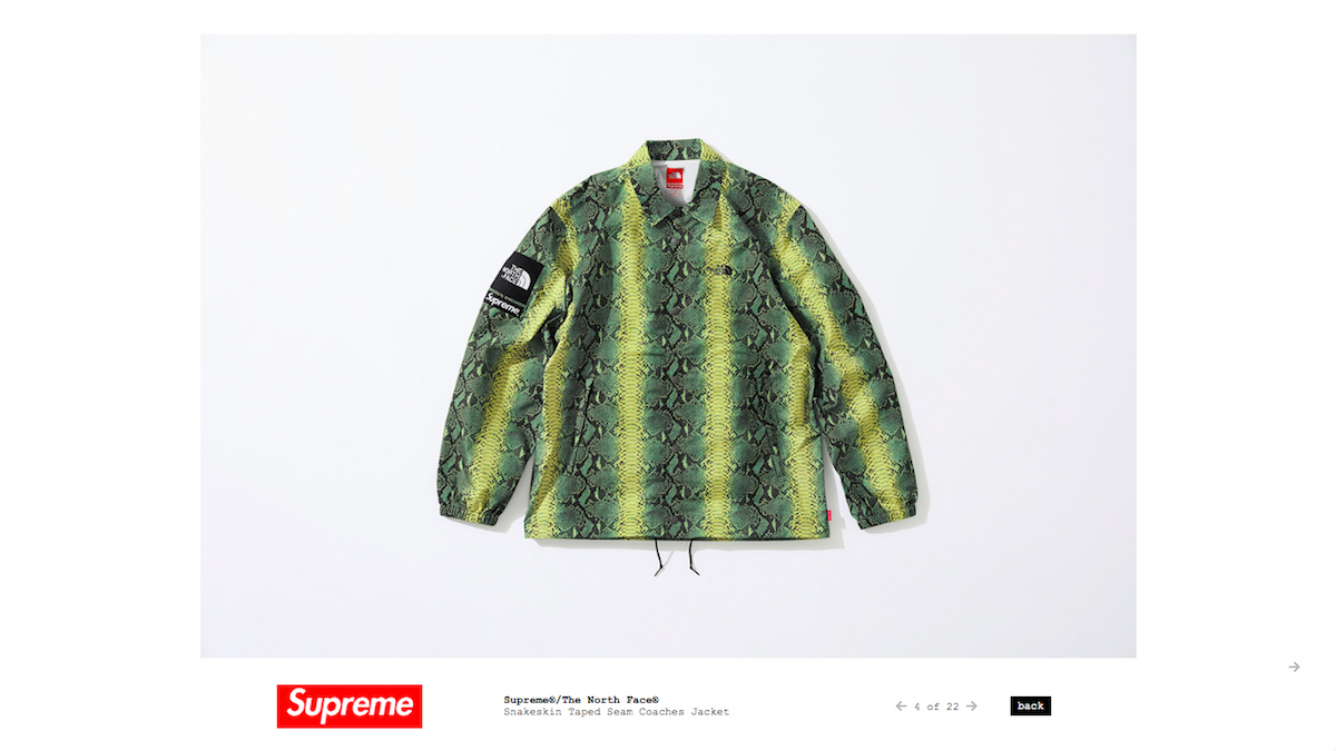 Supreme The North Face 蛇柄-