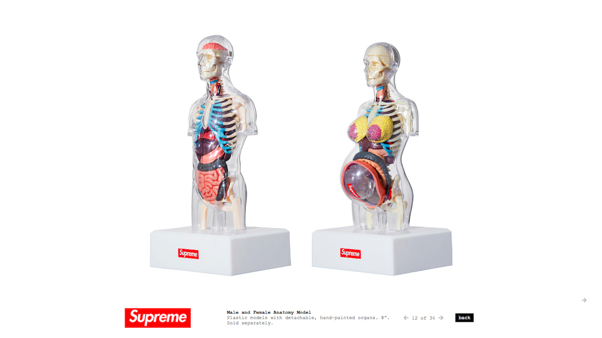 シュプリーム」が透明人体解剖模型を発売 男性・女性の両モデルを用意 