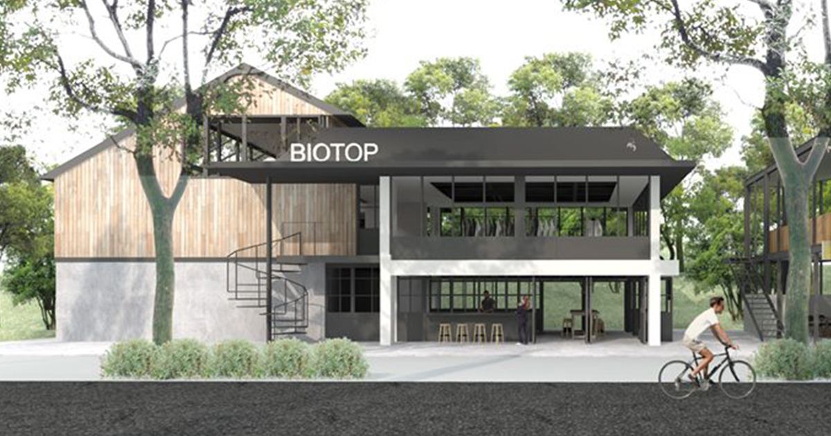 BIOTOP (ビオトープ) TOKYO購入 木製 樹皮風 プランター