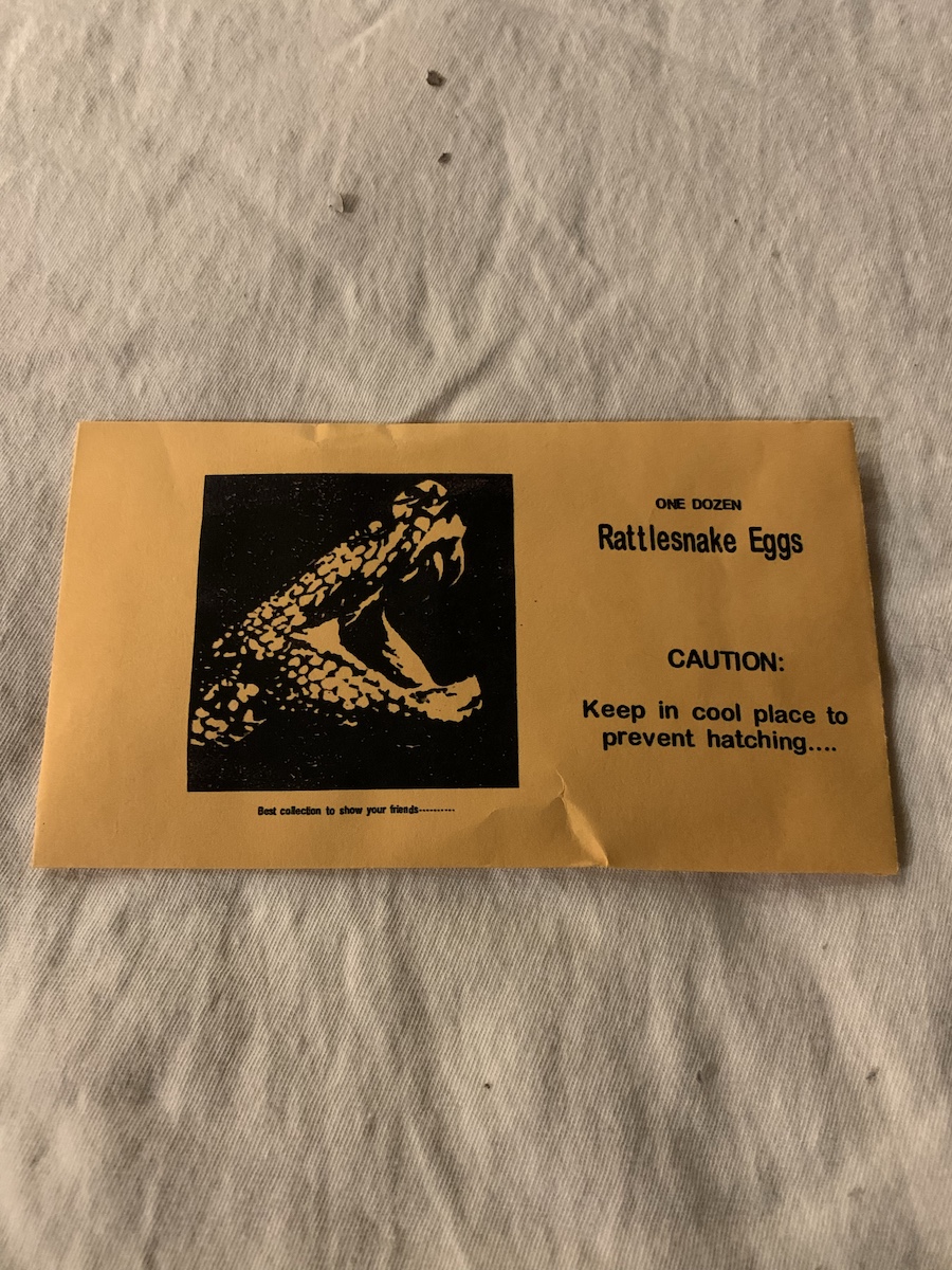 181円 【超目玉】 ガラガラヘビの卵