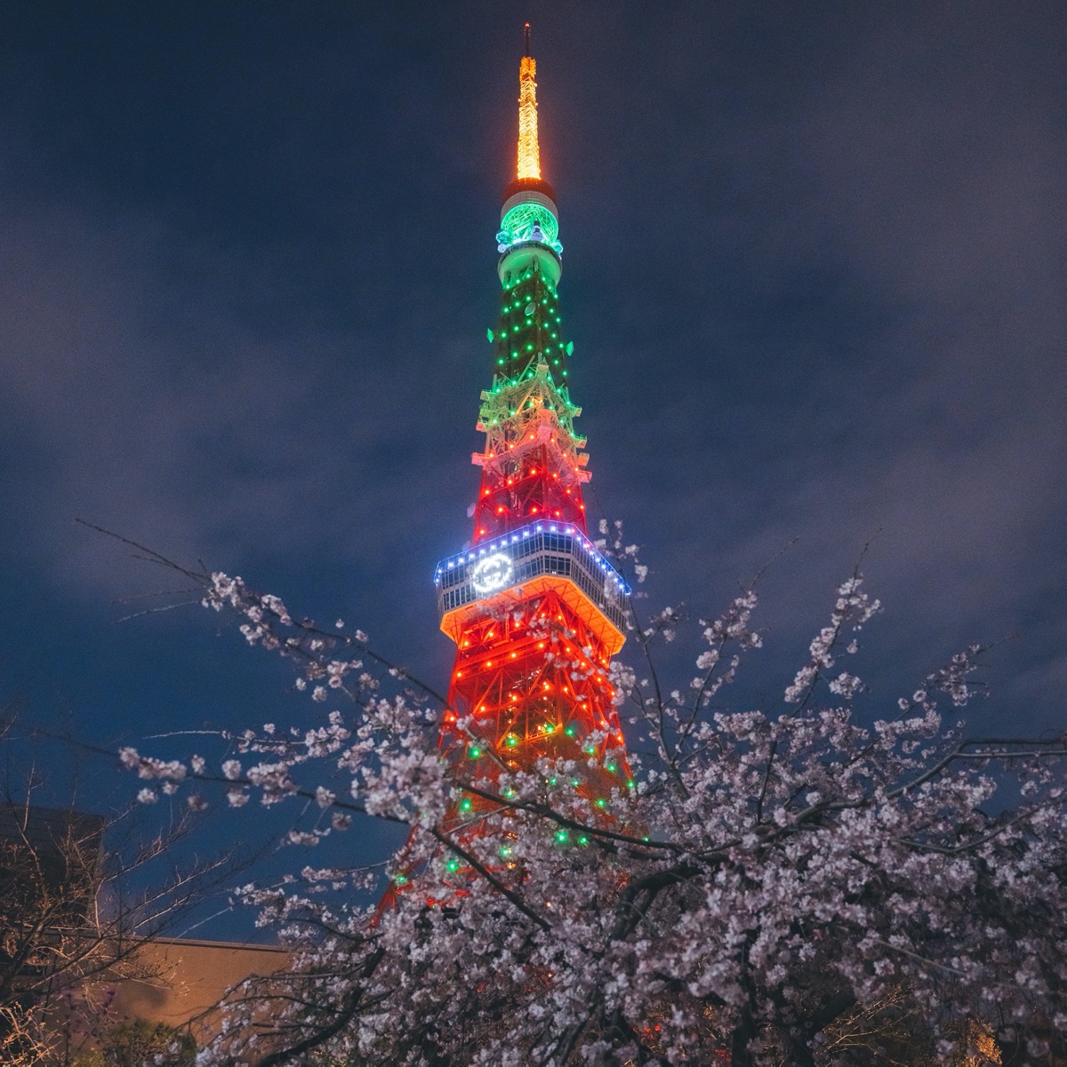 グッチ がarで お花見 イベント 東京タワーを グッチカラー にライトアップ Wwdjapan Com