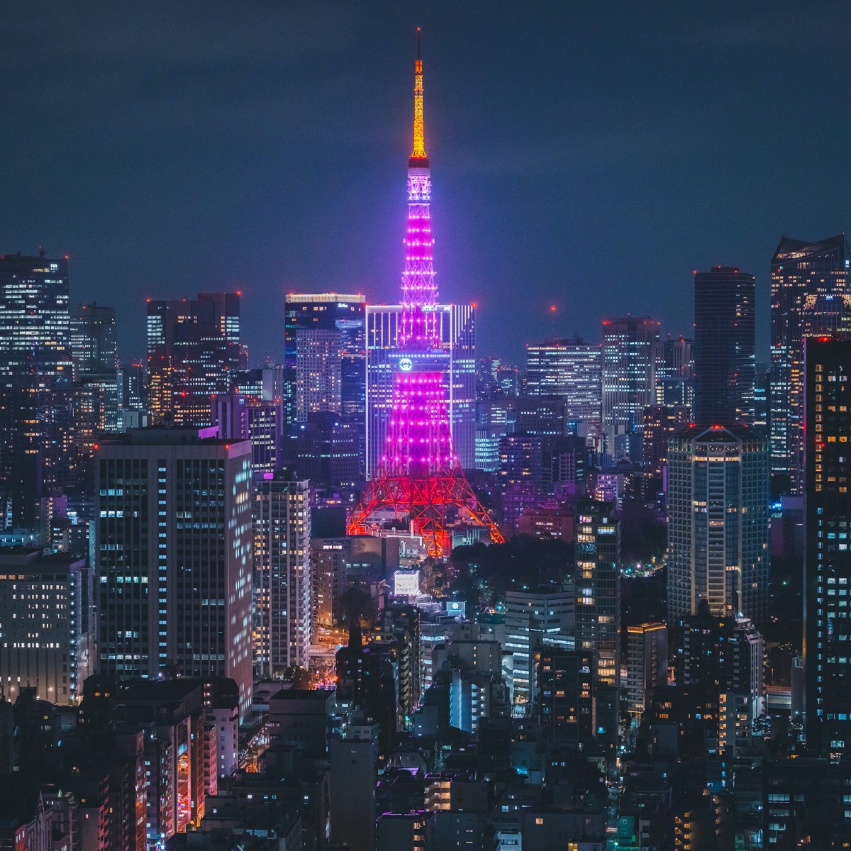 グッチ がarで お花見 イベント 東京タワーを グッチカラー にライトアップ Wwdjapan Com