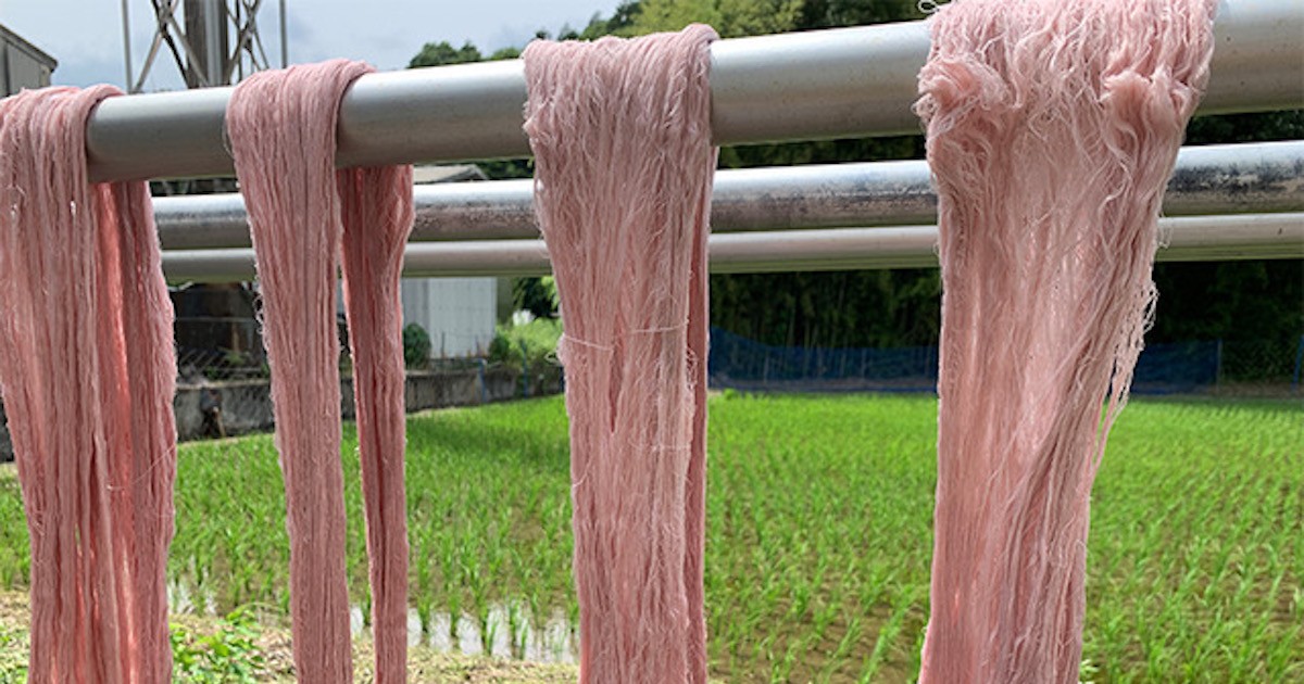 廃棄イチゴで染めた織物　兵庫県・播州産地のサステナブルな取り組み