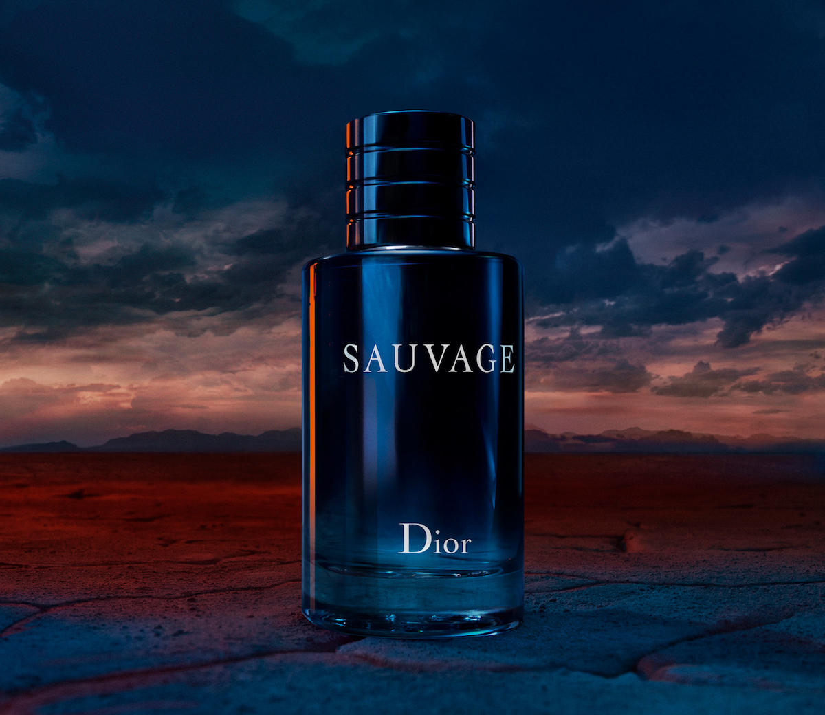 新品 Dior ディオール 香水 ソヴァージュ ショッパー 巾着 ポーチ