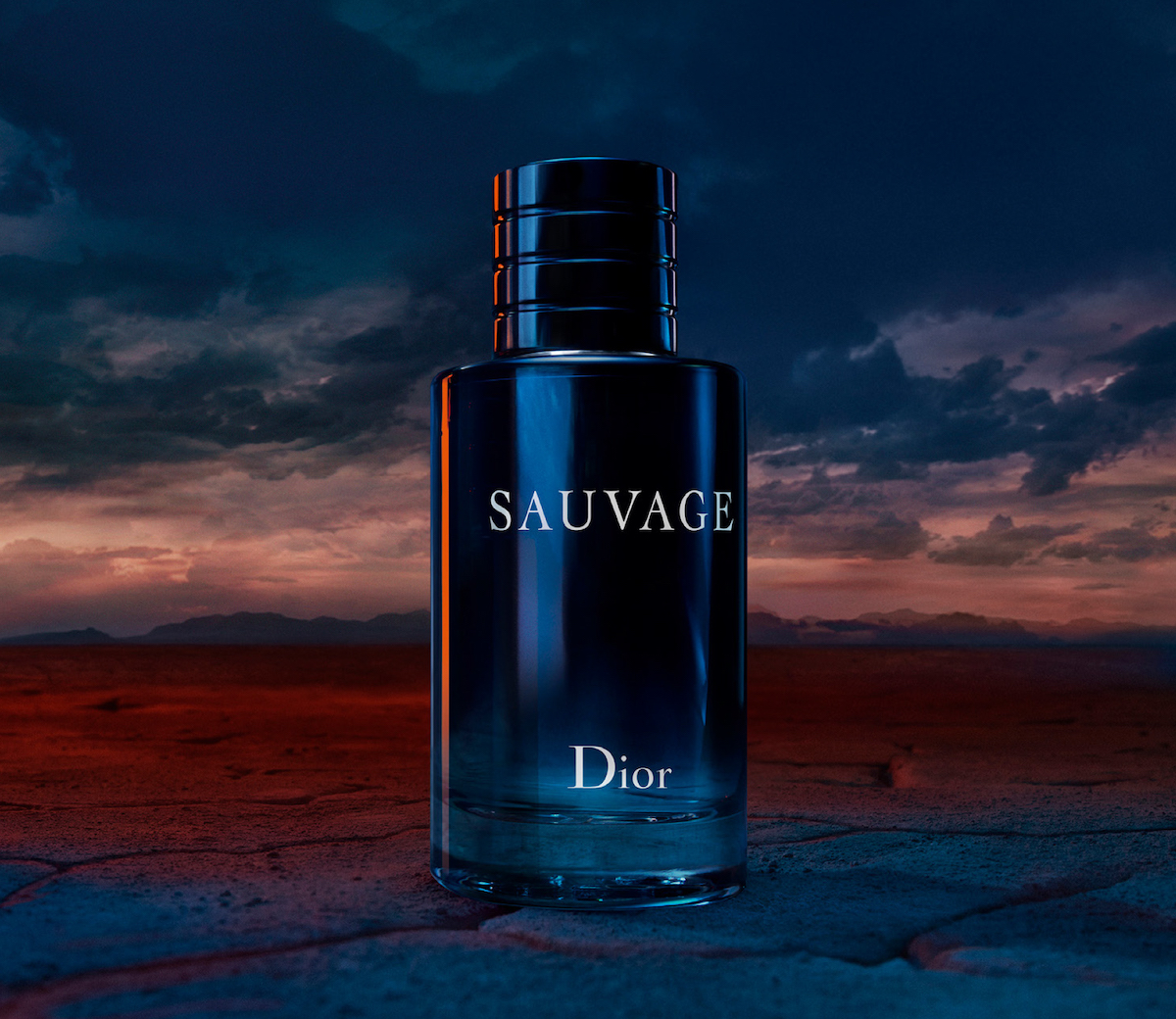 格安】DIOR SAUVAGE 香水 100ml - 香水