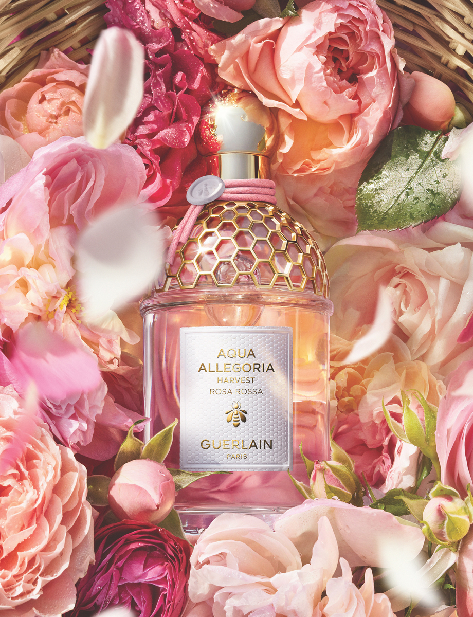 「ゲラン」が天然由来の香水シリーズから新発売 マンダリンやローズ、自然の美しさを讃える香り - WWDJAPAN