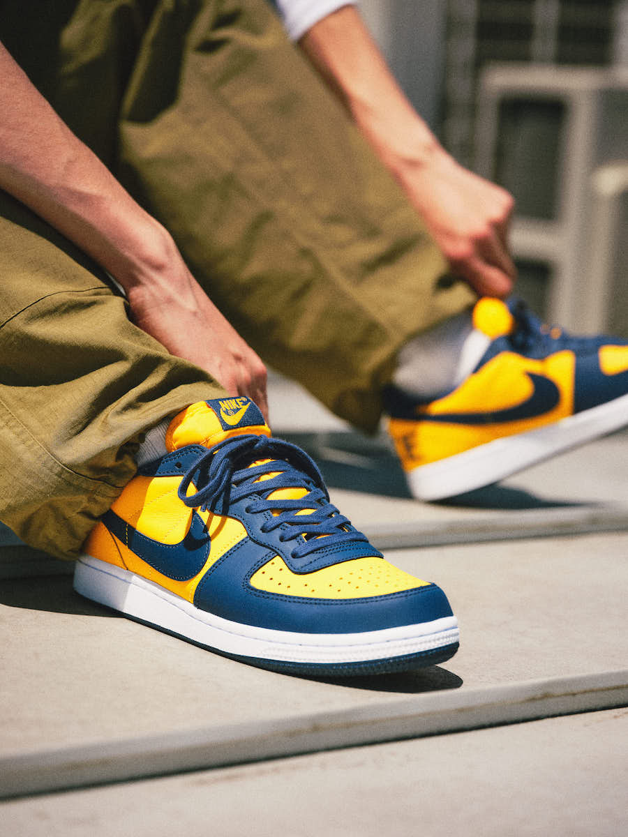 Nike Terminator Low Michigan