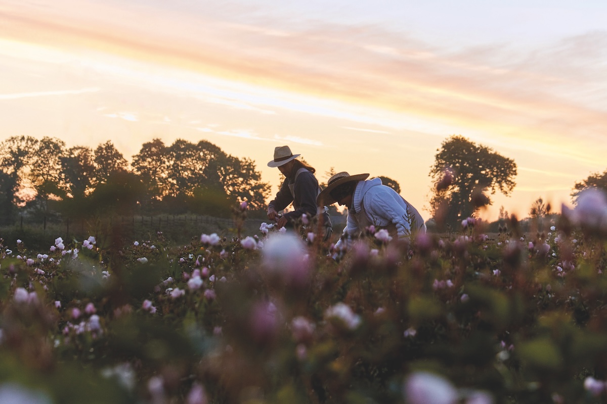 White　Dior グランヴィルローズ　フレグランスキャンドル非売品 White Dior グランヴィルローズ フレグランスキャンドル非売品