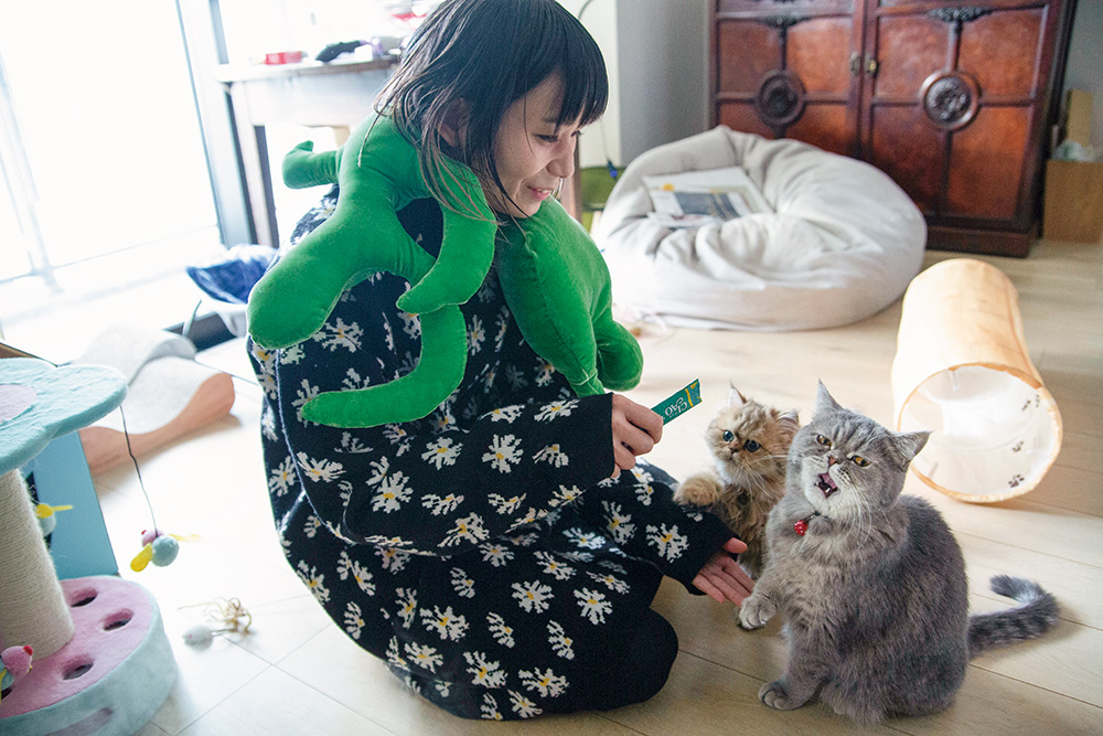 2月22日は「猫の日」 業界の愛猫家大集合！猫への愛を語る - WWDJAPAN