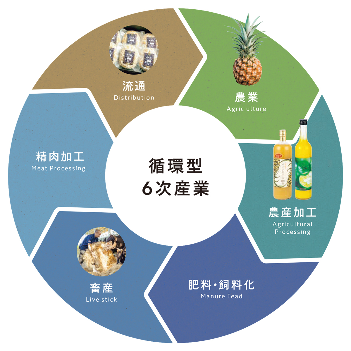 循環型6次産業化