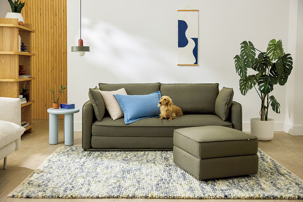 働き盛りに人気の「コアラ」 マットレスと共にソファーベッドも進化