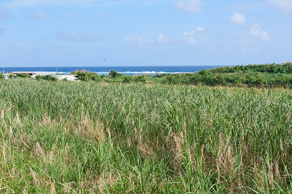 地域の未利用資源から新たな産業を創出