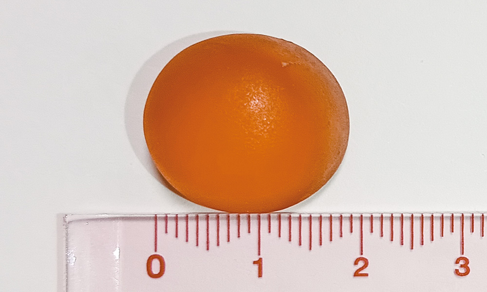 直径19mmのドーム型