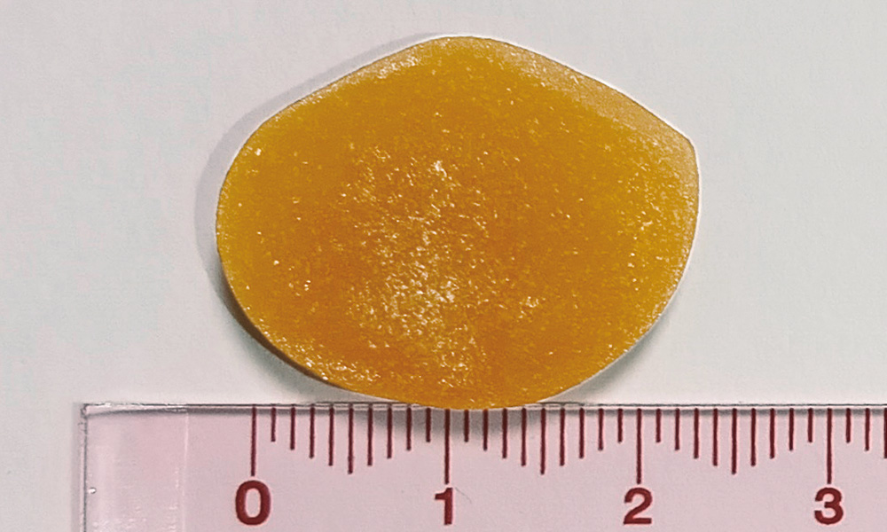 直径24mmの円盤型