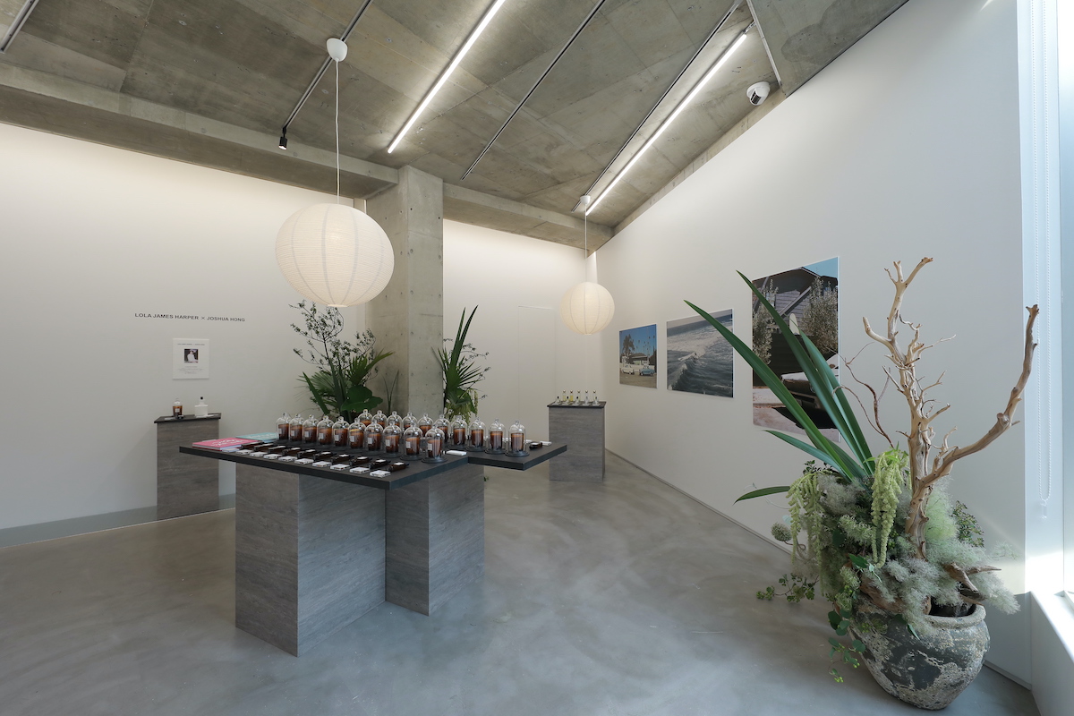 SEVENTEENジョシュアとのコラボが話題の「ローラ ジェームス