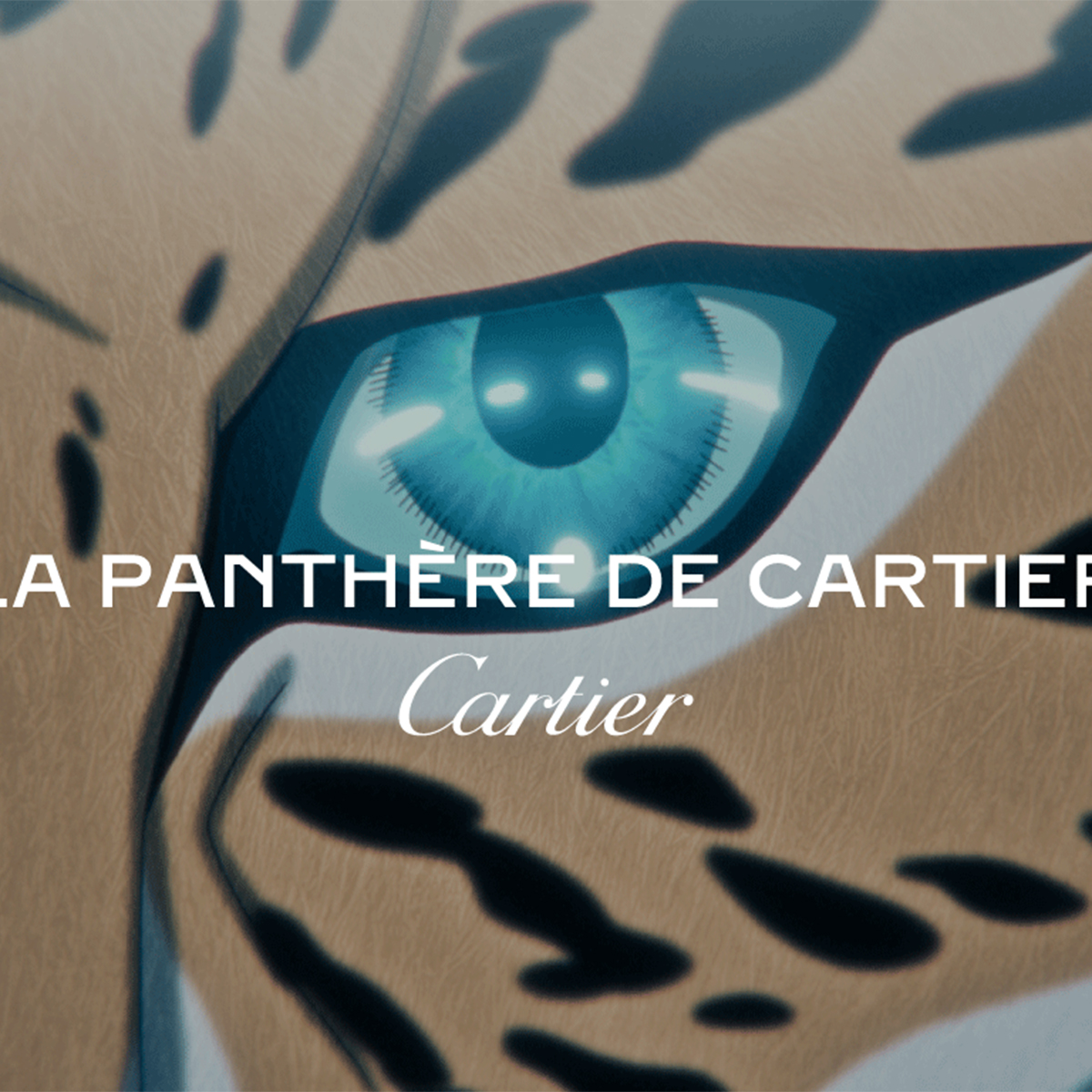 EYE_CARTIER.jpg