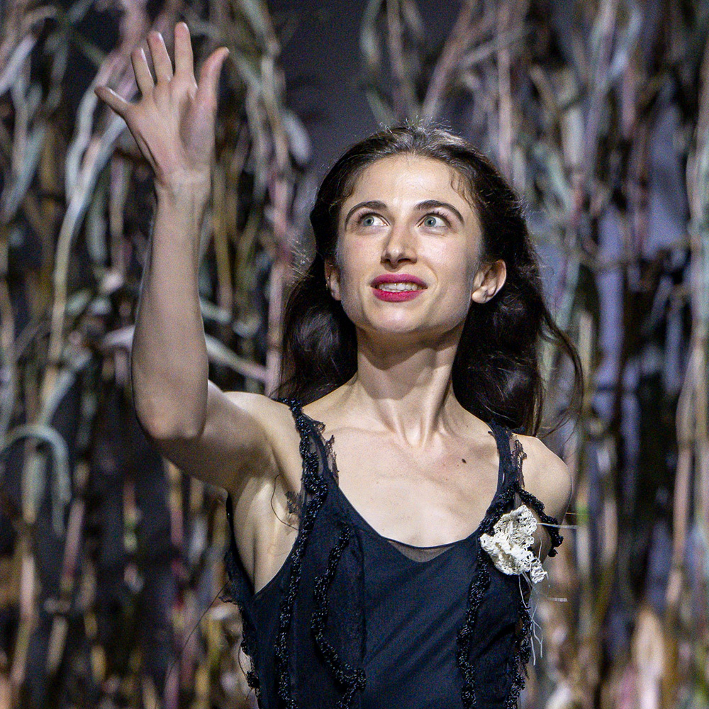 DESIGNER/ポーリーヌ・デュジャンクール