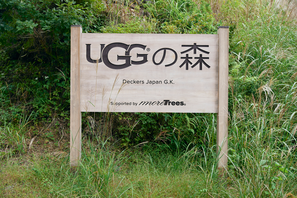 「UGGの森」に息づくデッカーズジャパンの精神　多様性のある森づくりで目指す未来