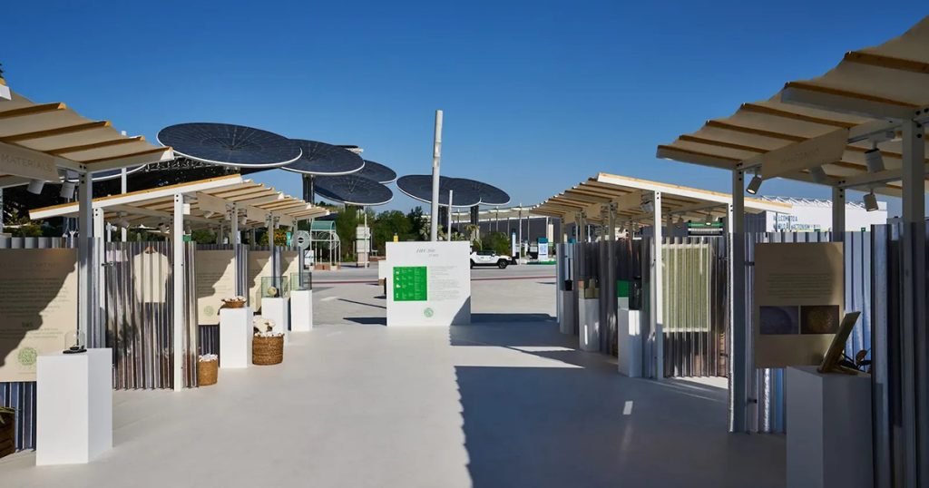 COP30開催、キーワードを予習しよう 「長い夏」で考える、物理リスクと移行リスク