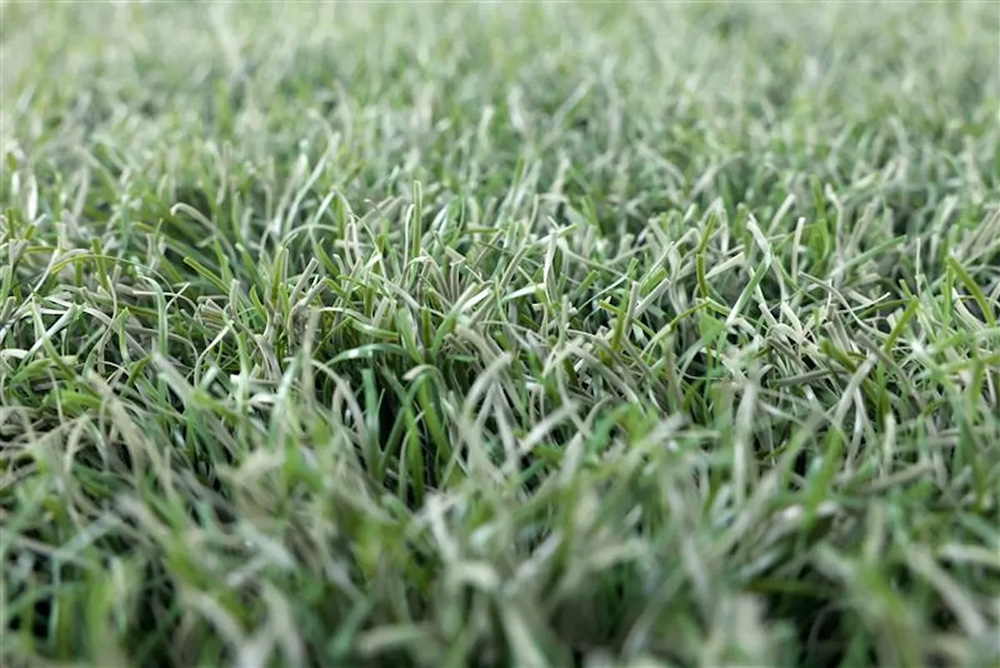 世界初の“海で分解する人工芝“　ミズノとカネカが共同開発、スポーツ施設に導入