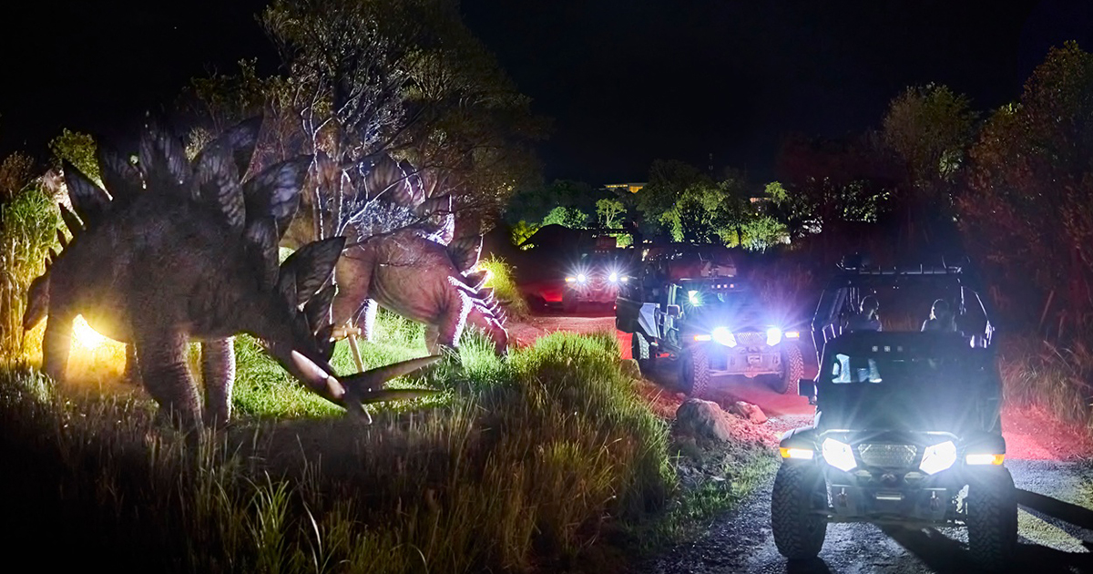 ジャングリア沖縄の夜プログラムで大人の夕暮れ体験