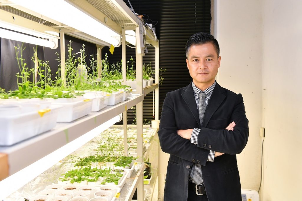 大麻文化の「温故創新」 法改正を機に始まる文化と産業の創生、三重