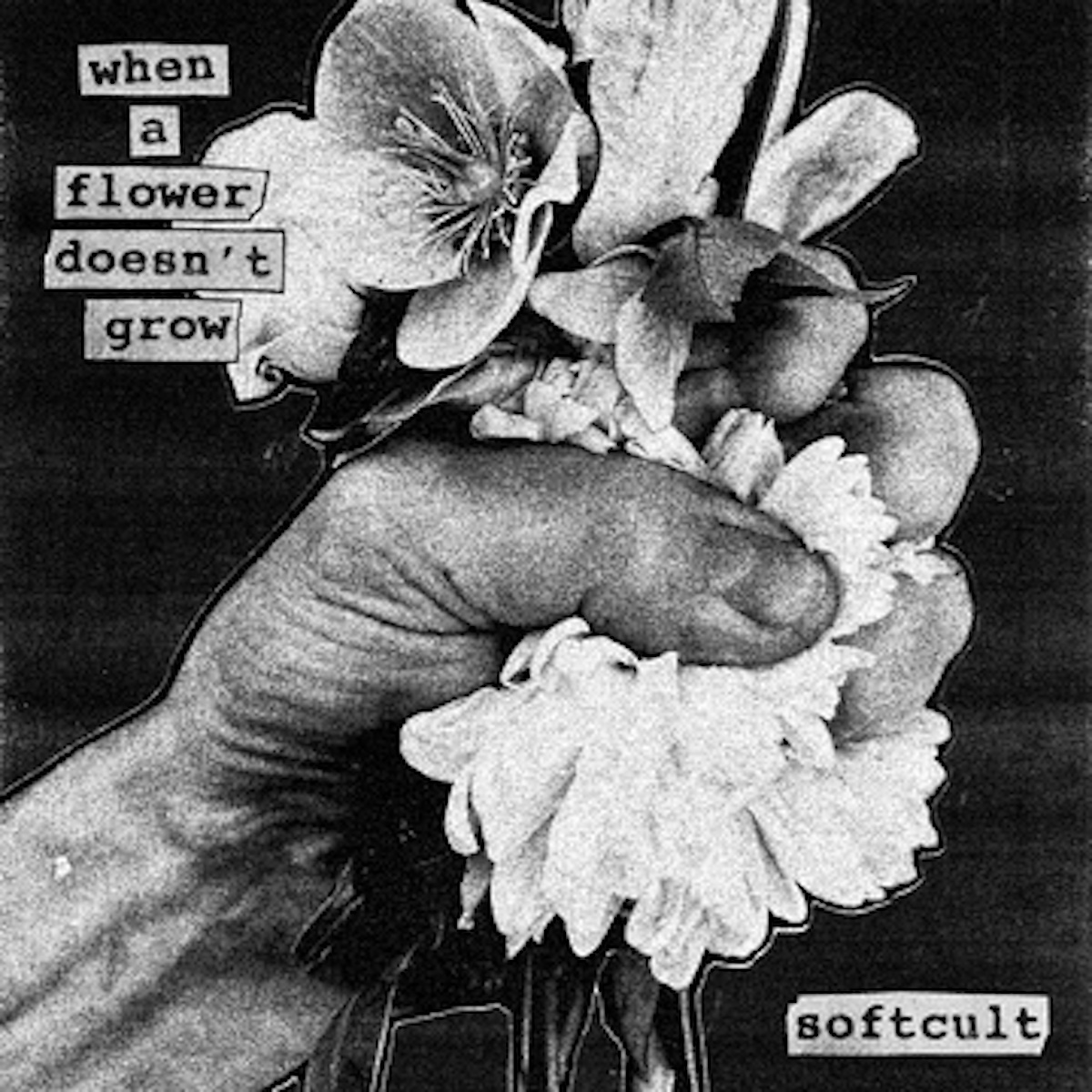 アルバム「When a Flower Doesn’t Grow」ジャケット