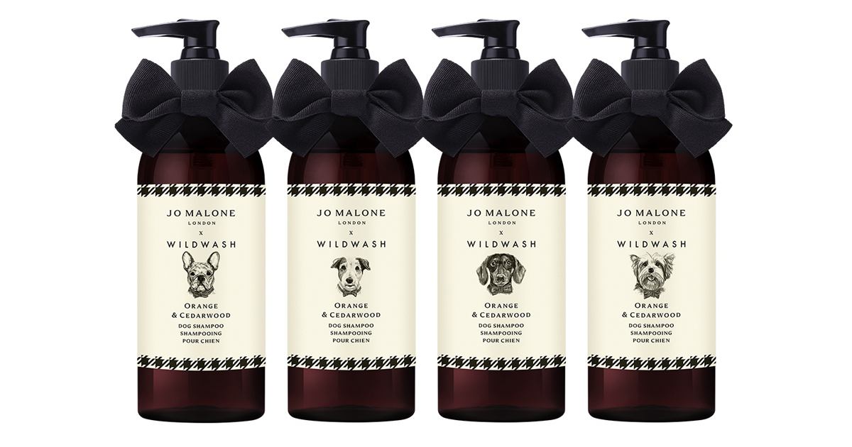 「ジョー マローン ロンドン」が初の犬用シャンプーを発売　オレンジ＆シダーウッドの香り - WWDJAPAN ‐ 最新ファッション＆ビューティニュース情報