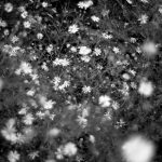Photographer Yutaro Yamane Holds Solo Exhibition